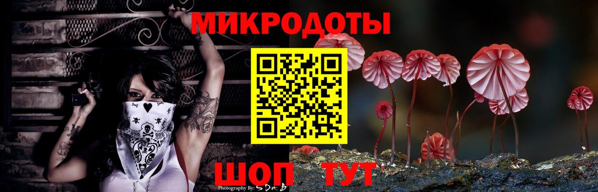 Валуйки  Галлюциногенные грибы GOLDEN TEACHER  Галлюциногенные грибы прущие грибы  Вход с VPN 